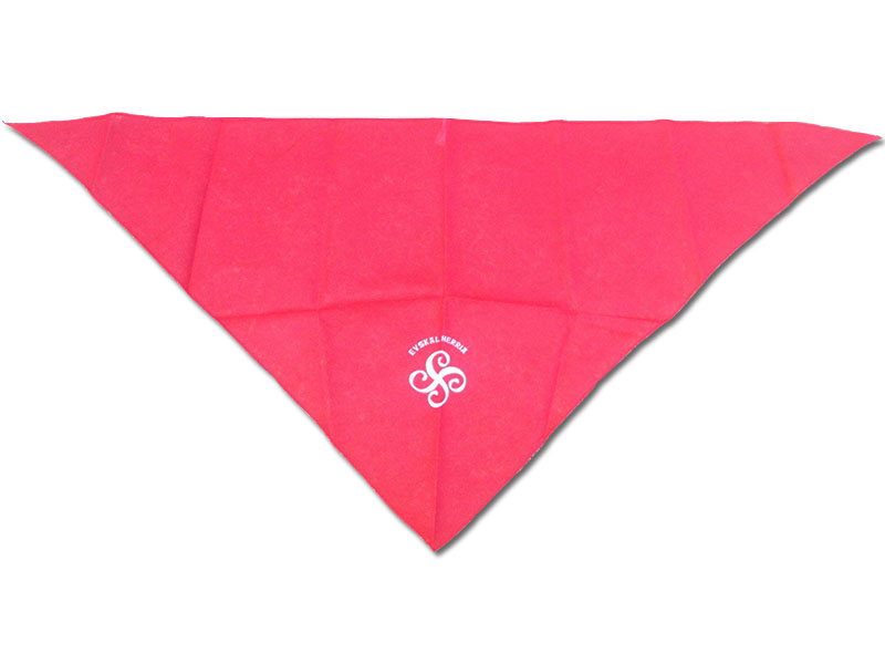 Foulard croix basque